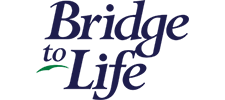 Bridge to Life